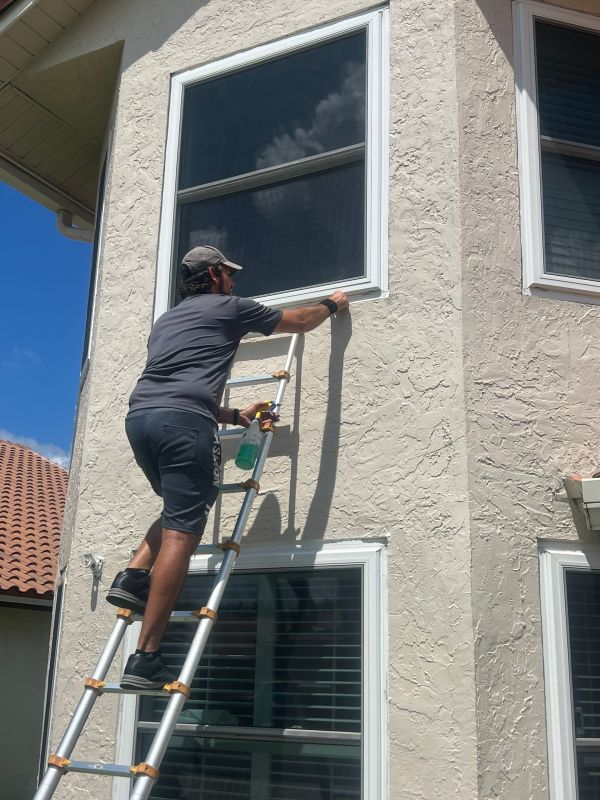 Windows Replacement