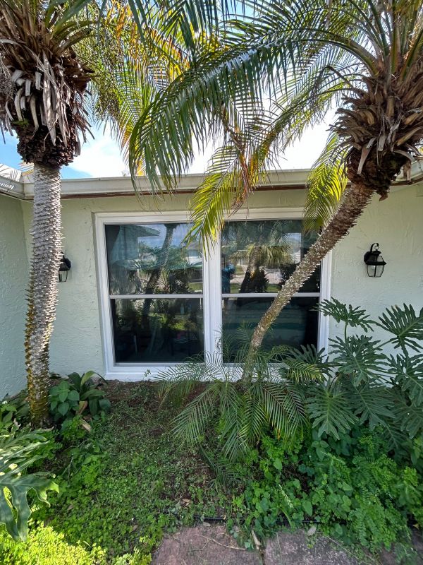 Residential Window Service
